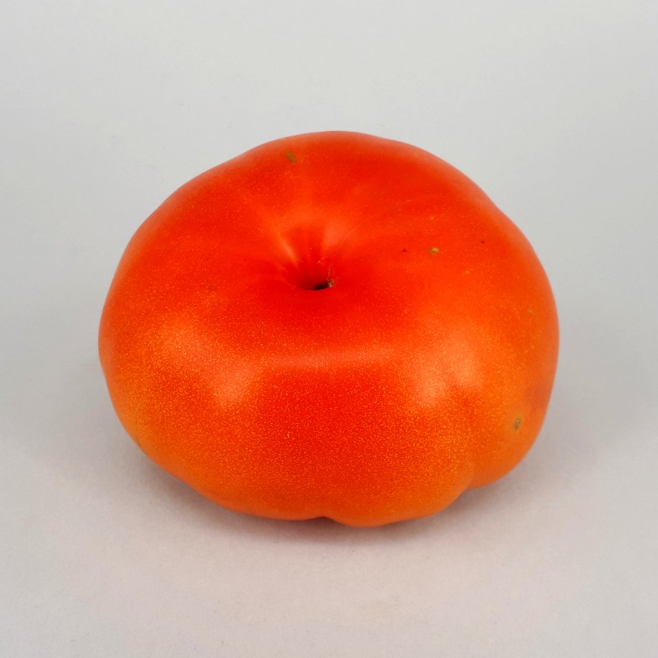 Rebellion tomato 2017 A3