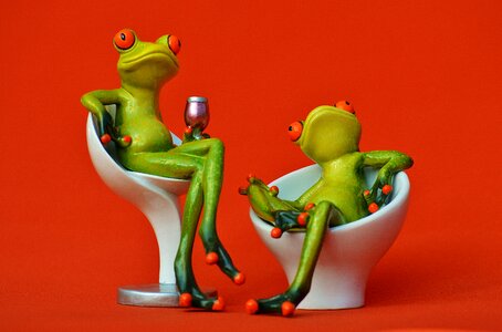 Funny frogs chick