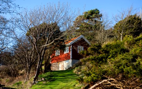 Red cottage in Norrkila photo