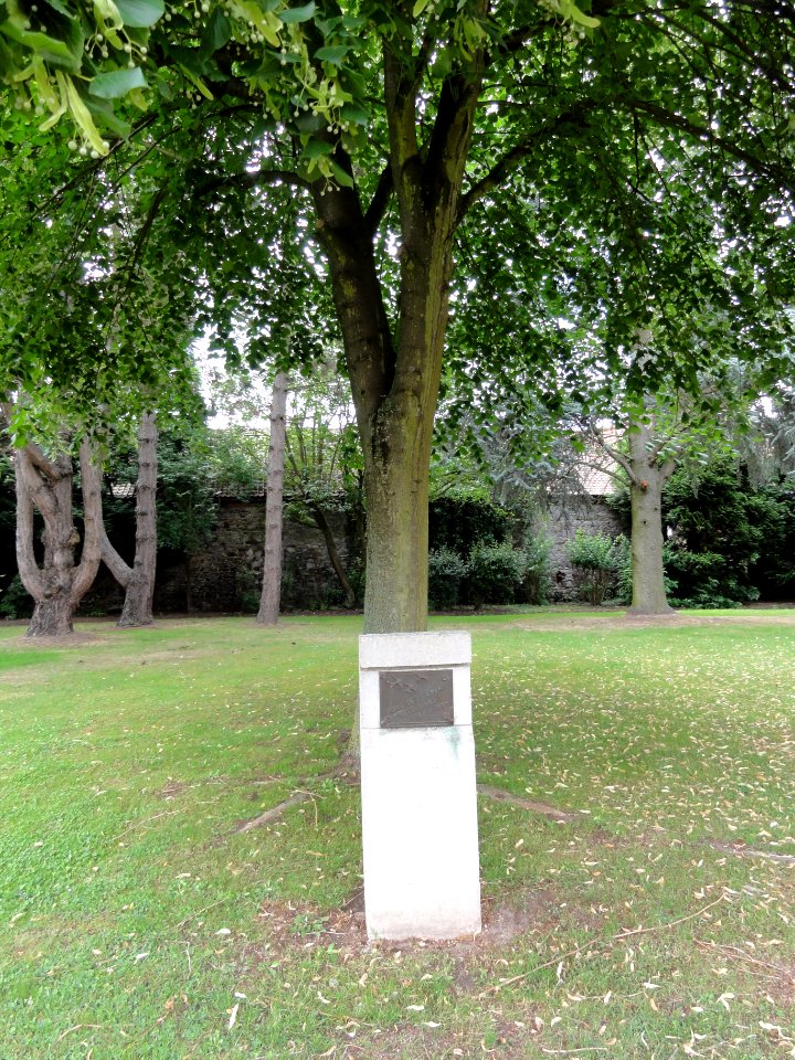 Recquignies (Nord, Fr) arbre de la liberté 1789-1989