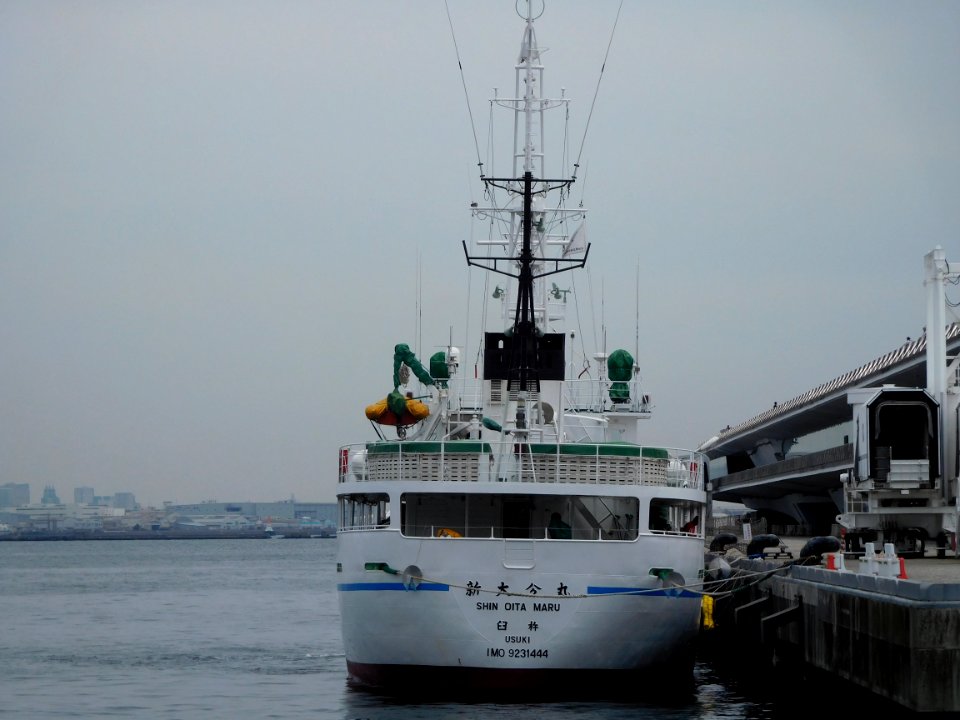 Rear view of Shin-Oita maru a fishery training vessel of Oita Prefectual Board of Education at Yokohama Osanbashi 20180512