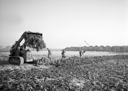Recreatieterreinen, vliegvelden ed, shovels, aanleg industrieterrein, arbeider, Bestanddeelnr 163-0643