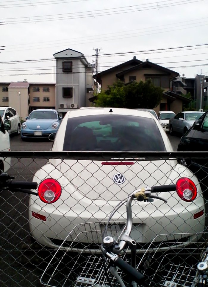 Rear of Volkswagen New Beetle & front of Volkswagen the Beetle