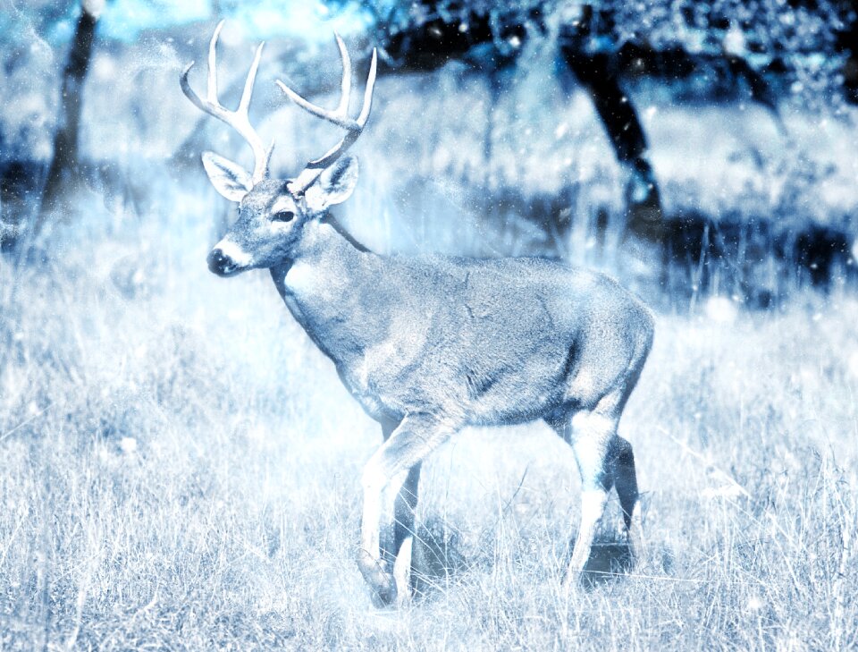 Nature art scrapbooking