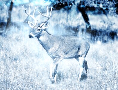 Nature art scrapbooking