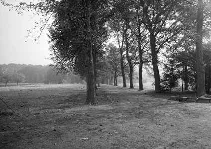 Recreatieterreinen, vliegvelden ed, terreinen, bomen, rijtstichting van der mg, Bestanddeelnr 163-0502
