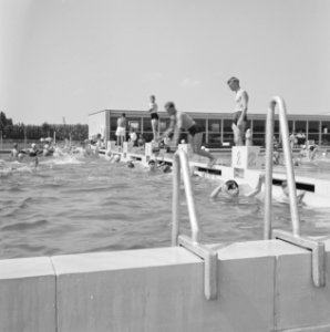 Recreatieterreinen, vliegvelden, zwembaden, zwemmers, Bestanddeelnr 250-8207