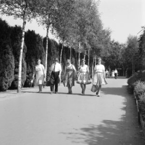 Recreatieterreinen, vliegvelden ed, recreatiecentra, wandelpaden, mensen, de e, Bestanddeelnr 163-0995
