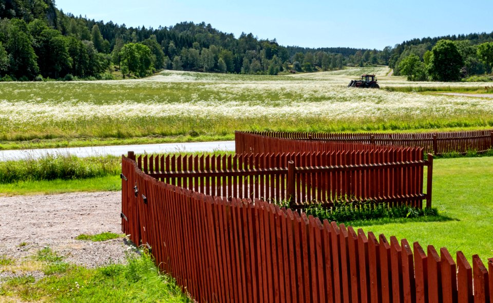 Red fence and fields on Röe gård 1