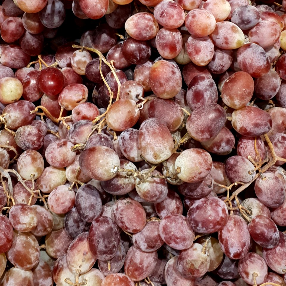 Red Globe grapes 2017 A3
