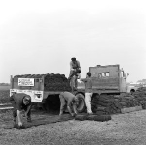 Recreatieterreinen, vliegvelden, sportvelden, lossen, leggen, graszoden, konings, Bestanddeelnr 165-0869