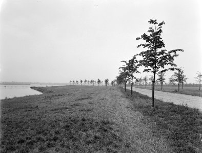 Recreatieplan Zuid Den Bosch, Bestanddeelnr 163-0893