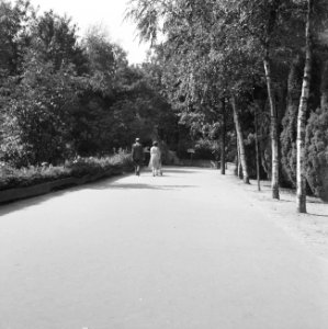 Recreatieterreinen, vliegvelden ed, recreatiecentra, wandelpaden, mensen, de e, Bestanddeelnr 163-0997