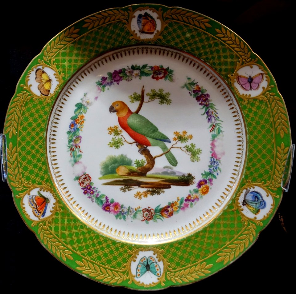 Red fan parrot, plate, painted by Jean-Pierre Feuillet, France, early 1800s, hard-paste porcelain - Montreal Museum of Fine Arts - Montreal, Canada - DSC08743