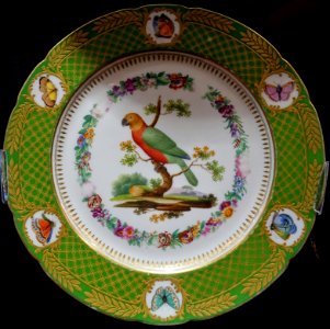 Red fan parrot, plate, painted by Jean-Pierre Feuillet, France, early 1800s, hard-paste porcelain - Montreal Museum of Fine Arts - Montreal, Canada - DSC08743