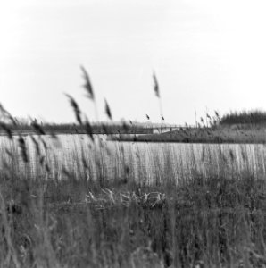 Recreatiecomplexen, plassen, wielen de kleine, ster groene, Bestanddeelnr 167-0460