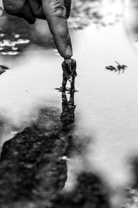 Water reflection puddle photo