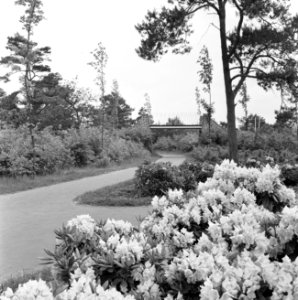 Recreatieterreinen, vliegvelden e.d., recreatiecentra, de efteling, Bestanddeelnr 163-0772