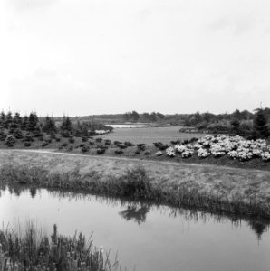Recreatieterreinen, vliegvelden e.d., recreatiecentra, de efteling, Bestanddeelnr 163-0776