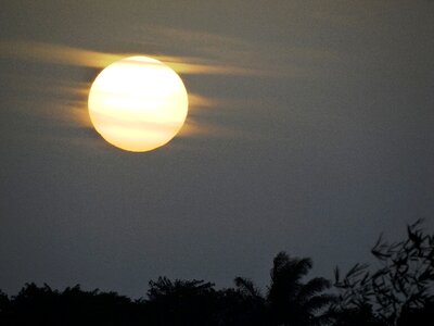 Dawn amazonia sol