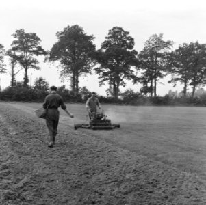 Recreatieterreinen, vliegvelden, sportvelden, gronden, graszoden, grasmatten, ko, Bestanddeelnr 165-0870
