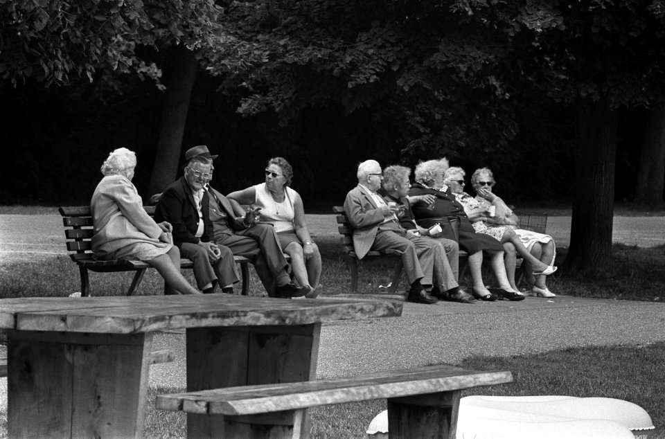 Recreatie in Amsterdamse bos, onder andere speelweide en vijver, Bestanddeelnr 926-5345