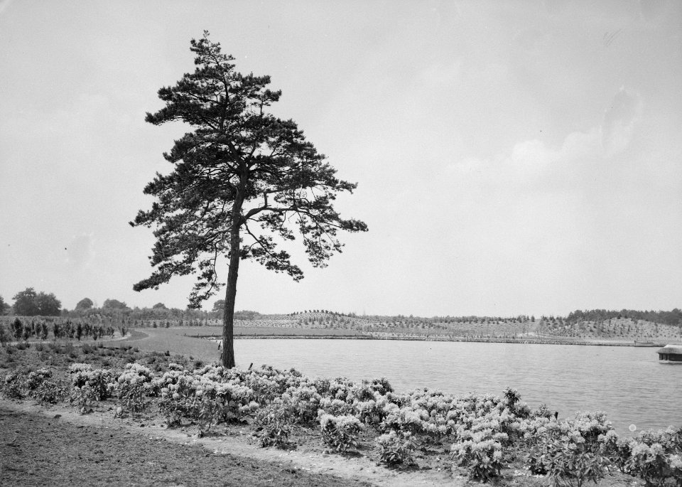 Recreatieterreinen, vliegvelden e.d., parken, vijvers, de efteling, Bestanddeelnr 163-0364