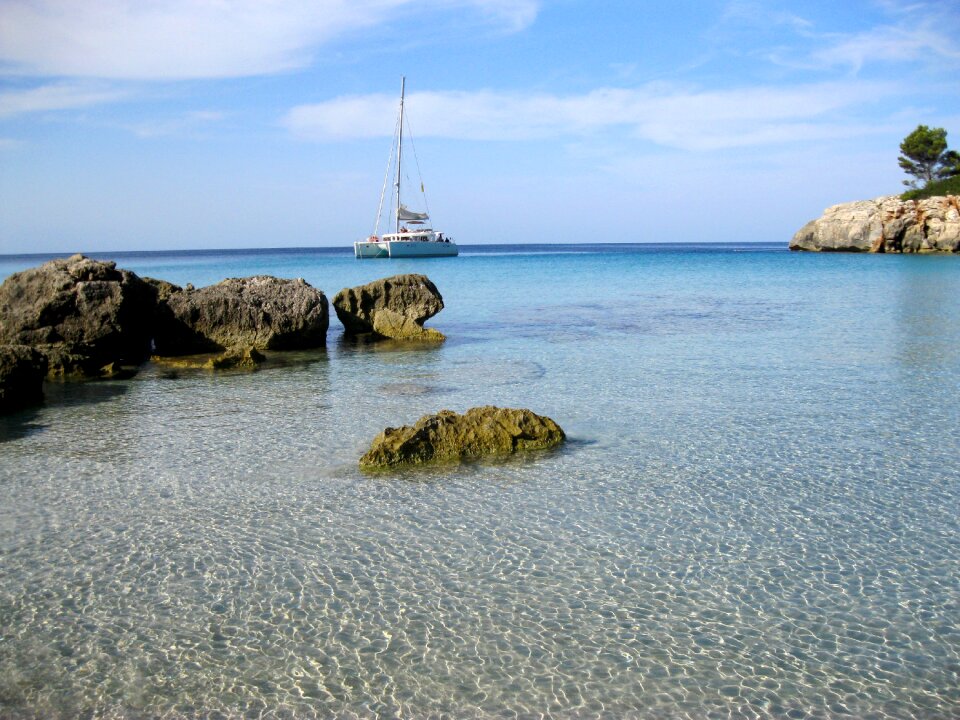 Minorca pine forest holiday
