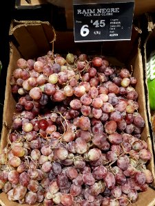 Red Globe grapes 2017 A1