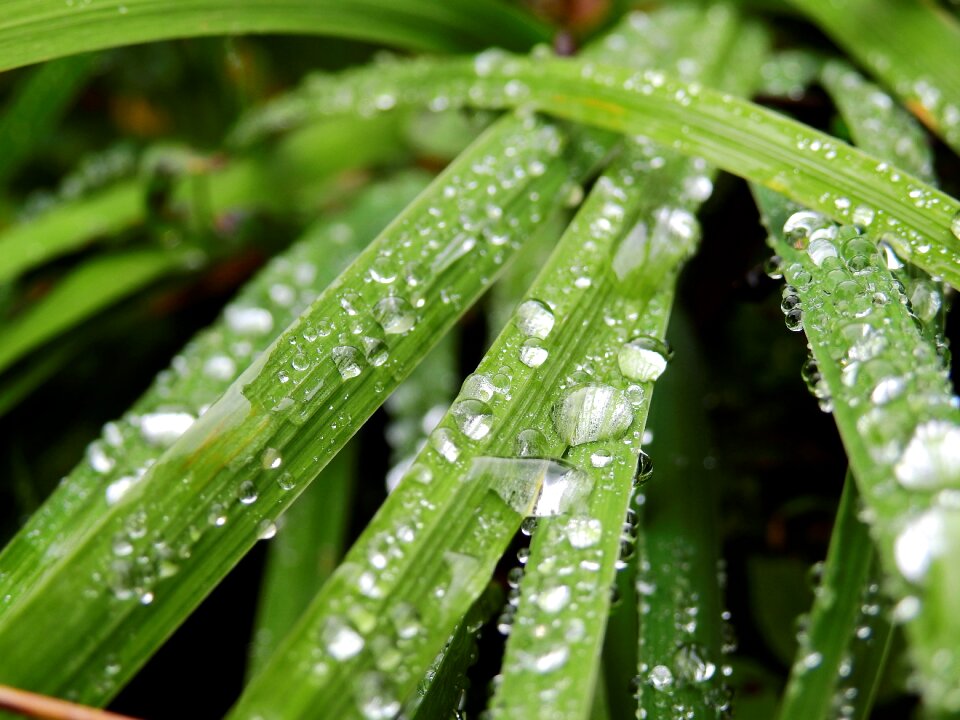 Close up liquid rain