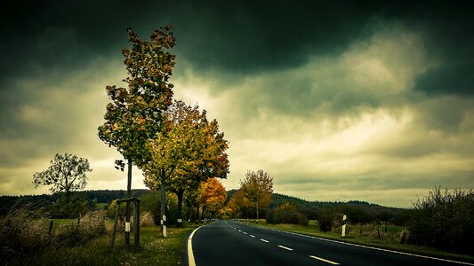 Leaves asphalt avenue photo