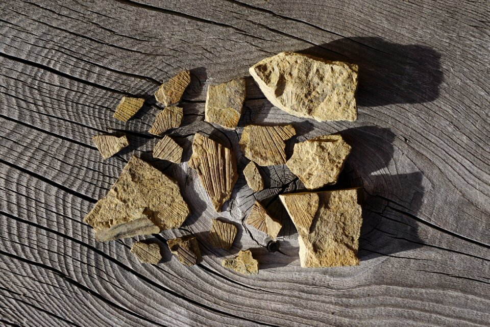 Ladinia rocks stones