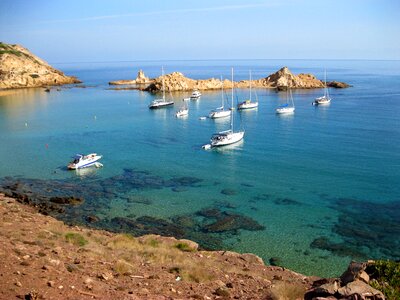 Minorca pine forest holiday