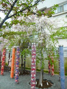Randen Arashiyama Station 03