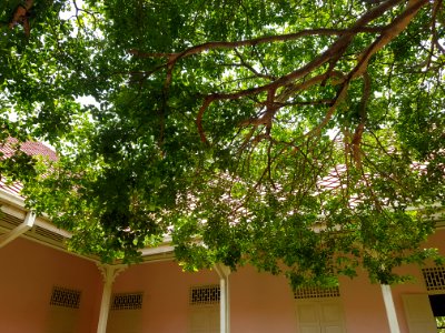 Ratchaburi Musuem - 2017-04-16 (023)
