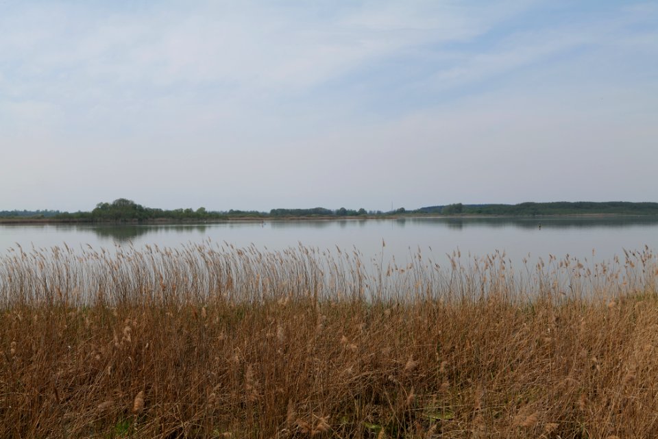 Rangsdorfer See 2021-05-11 18