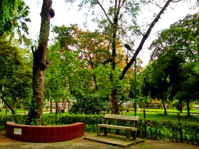 Ramna Park 2