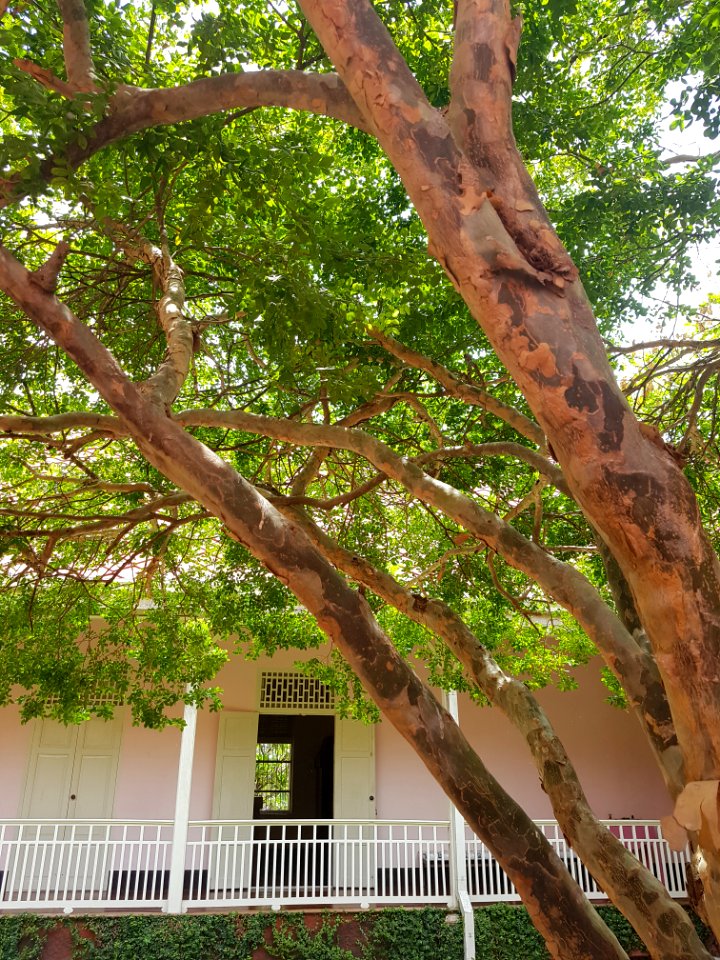 Ratchaburi Musuem - 2017-04-16 (028)