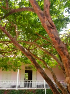 Ratchaburi Musuem - 2017-04-16 (028)