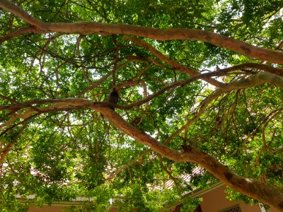 Ratchaburi Musuem - 2017-04-16 (021)