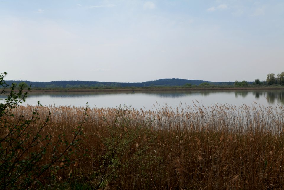 Rangsdorfer See 2021-05-11 15