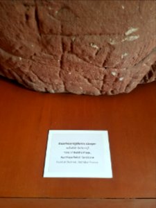 Ratchaburi Musuem - 2017-04-16 (038)
