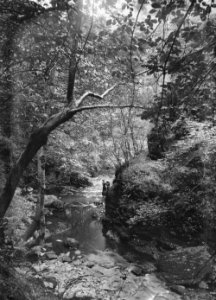 Rapids, Radnorshire (1294250)