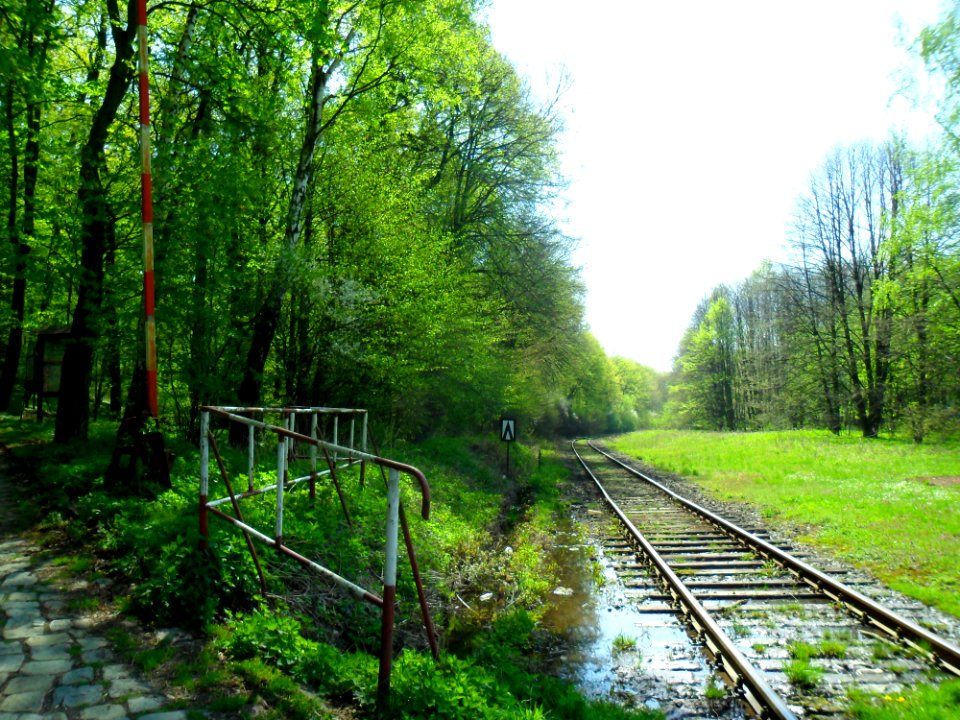 Ratibor Stadtwald