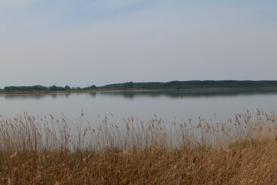 Rangsdorfer See 2021-05-11 12