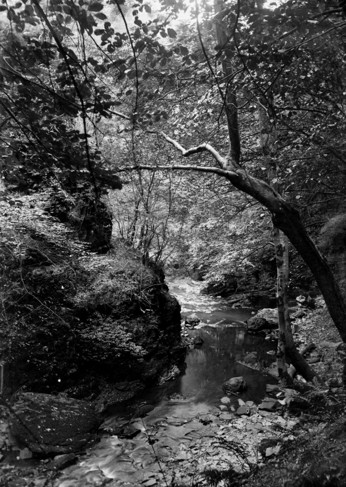 Rapids, Radnorshire (1294085)