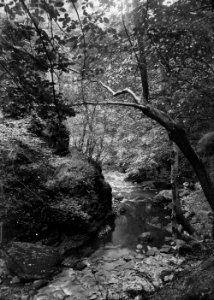 Rapids, Radnorshire (1294085)