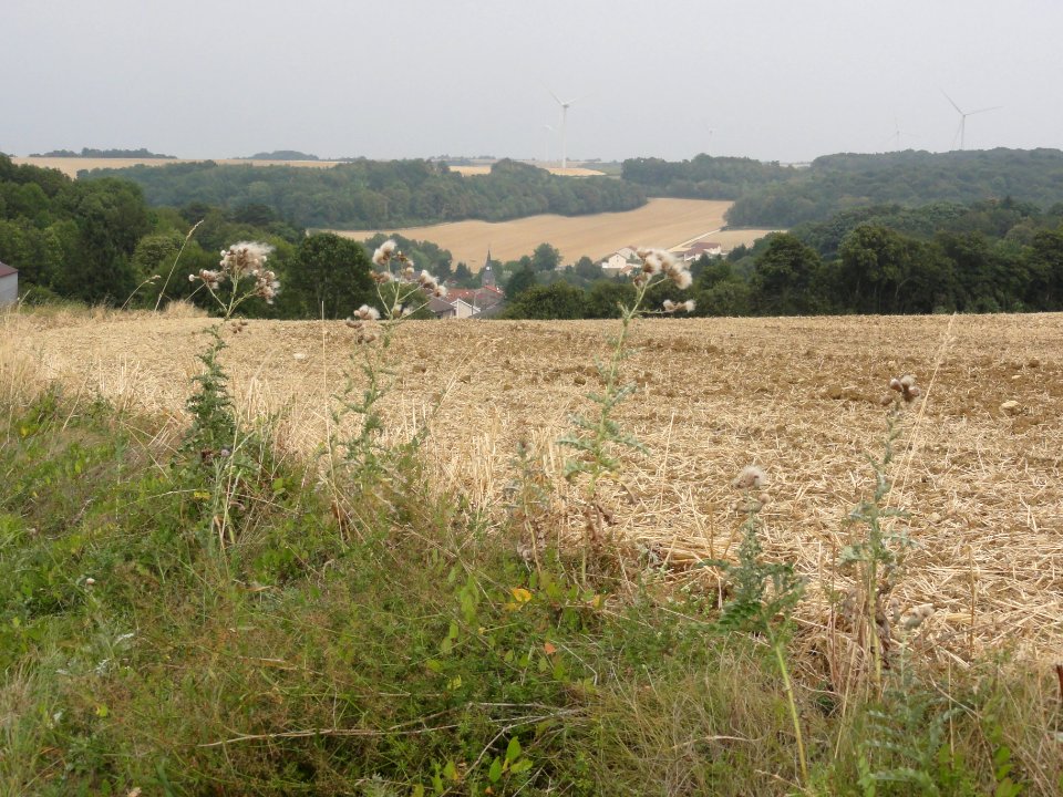 Rampont (Les Souhesmes-Rampont, Meuse) paysage
