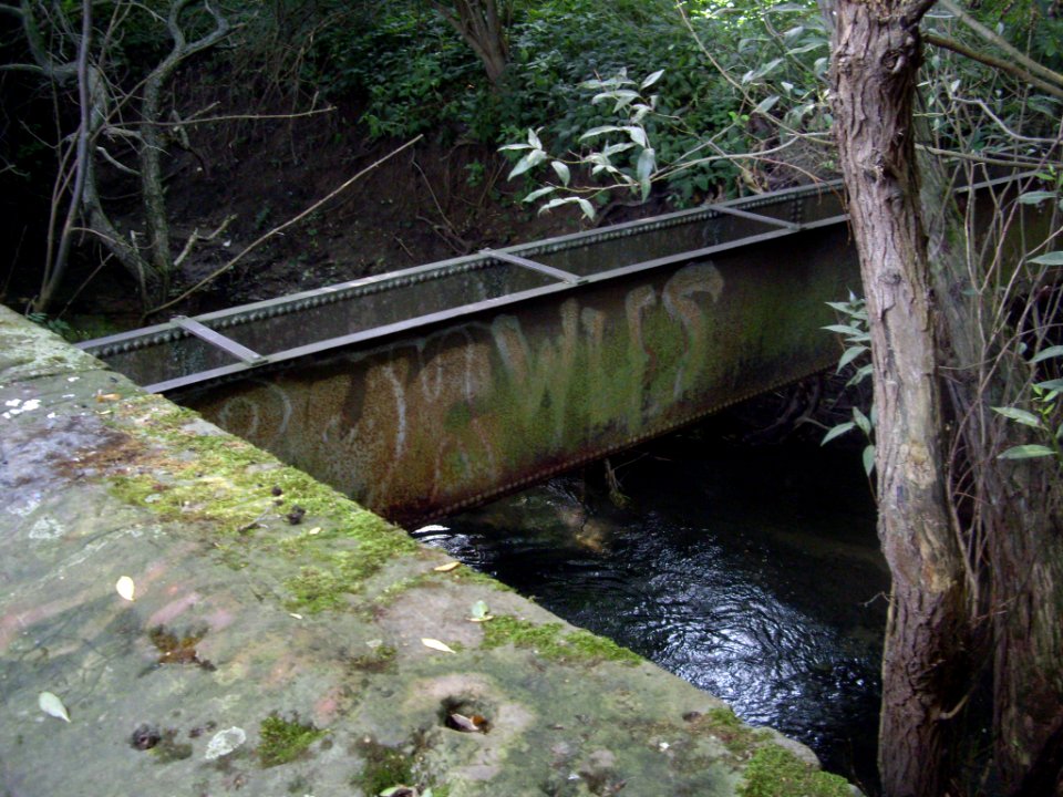 Rase-bei-Rosdorf-12