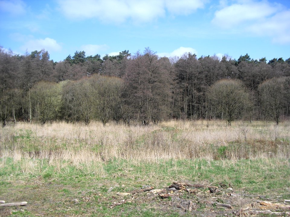 Ramselbruch-2